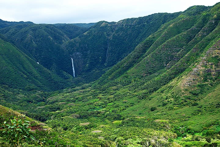 Halawa Valley, Molokai