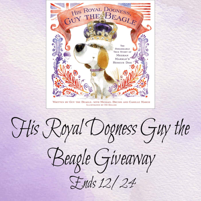 His Royal Dogness Guy the Beagle #Giveaway! ~ My Freebies Deals & Steals