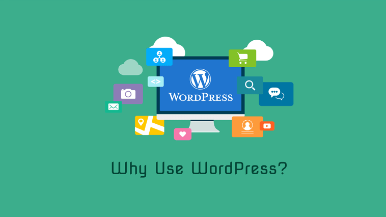 6 Most Important Reasons To Use WordPress For Blogging