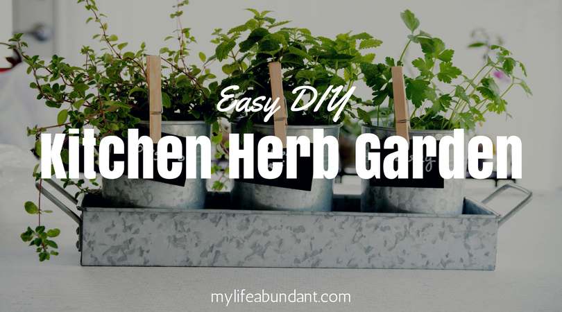 Easy DIY Kitchen Herb Garden
