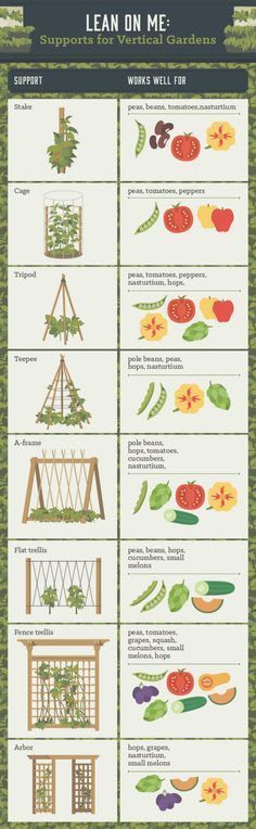 9 Gardening Diagrams Every Gardener Needs to Pin