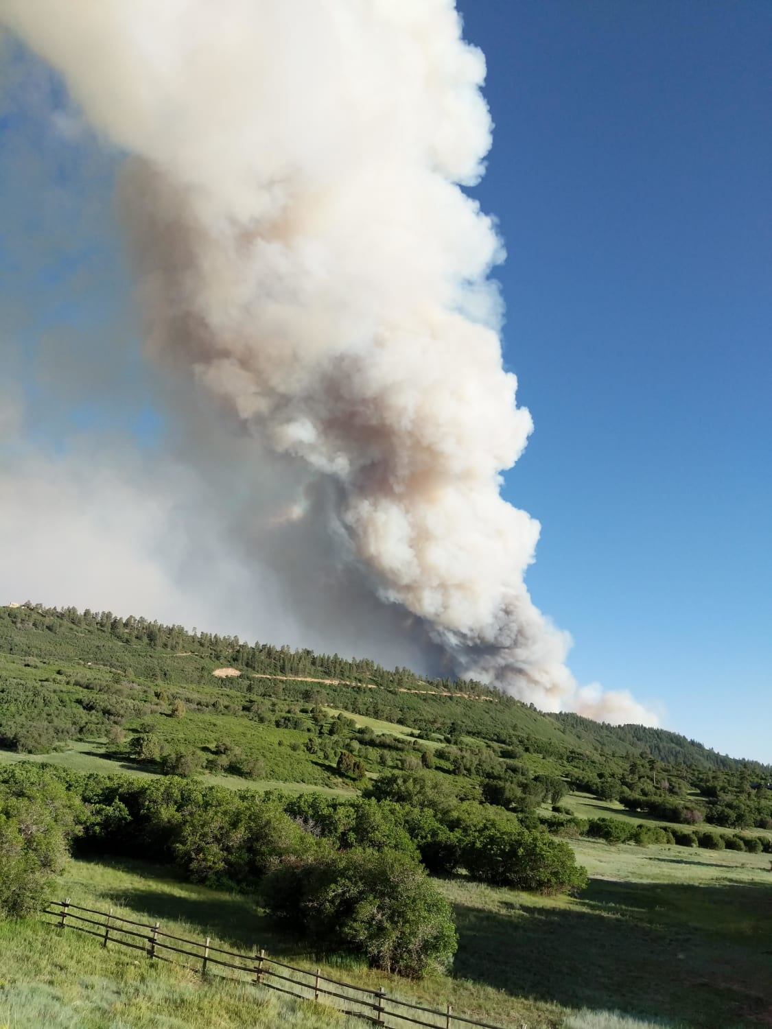 A visiting camper caused a wildfire by leaving a campfire unattended