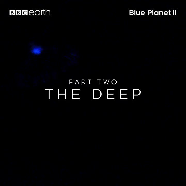 What do you think lurks beneath the depths? BluePlanet2 – Learn more at:
