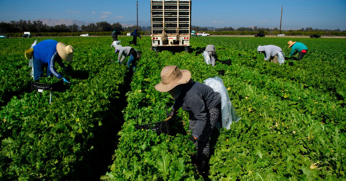 We Must Protect the Mental Health of Farmworkers