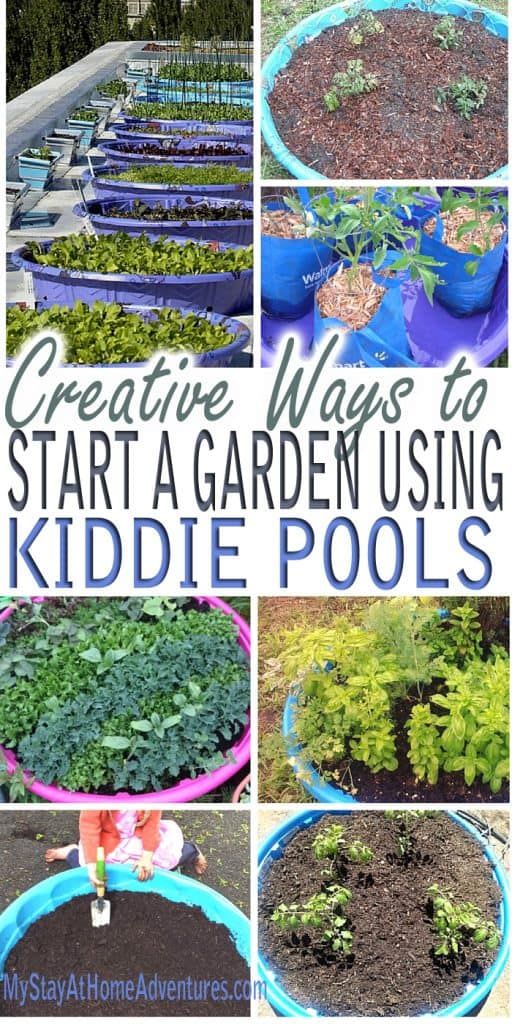 Creative Ways to Start a Garden Using Kiddie Pools