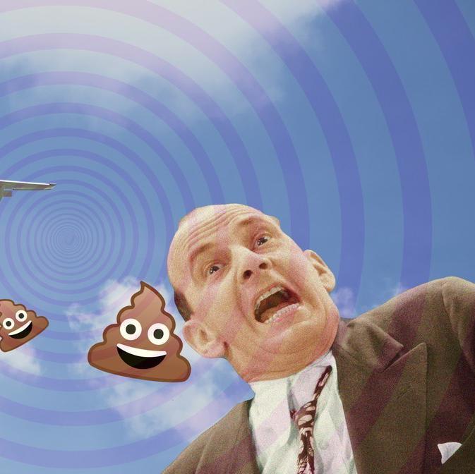 Poop is Raining From the Sky in Canada, and the Government Says It's Not Planes