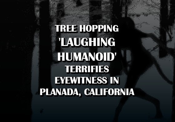 Tree-Hopping 'Laughing Humanoid' Terrifies Eyewitness in Planada, California
