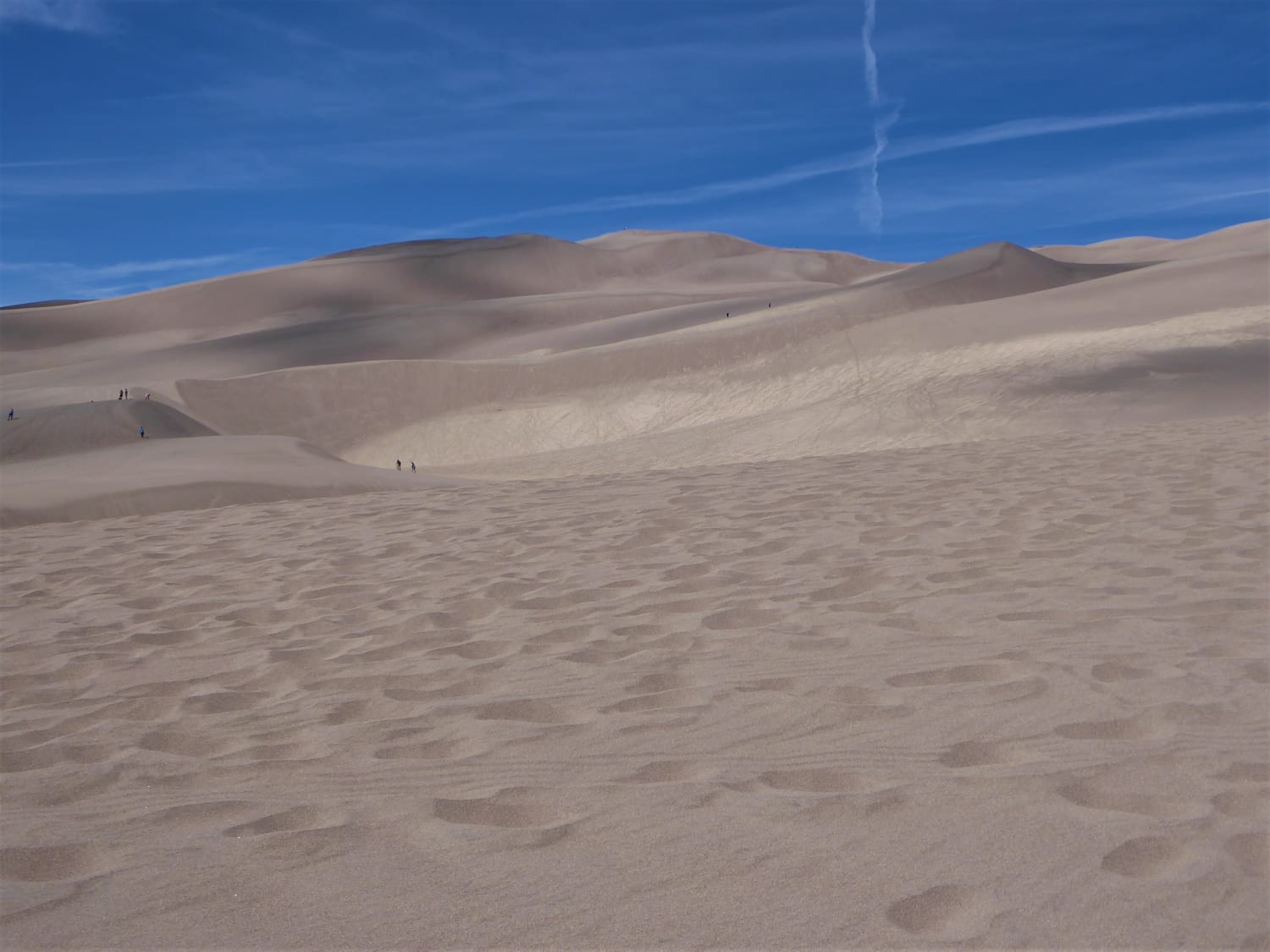 Sand Sledding (Sort Of) and Great Sand Dunes National Park