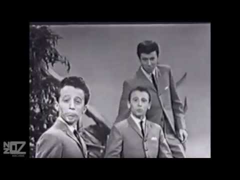 The Bee Gees in 1963 before they became a disco group