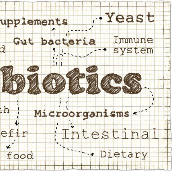 Are you taking a daily probiotic? Here are 5 reasons you should be. - Harassed but happy mommy blogger