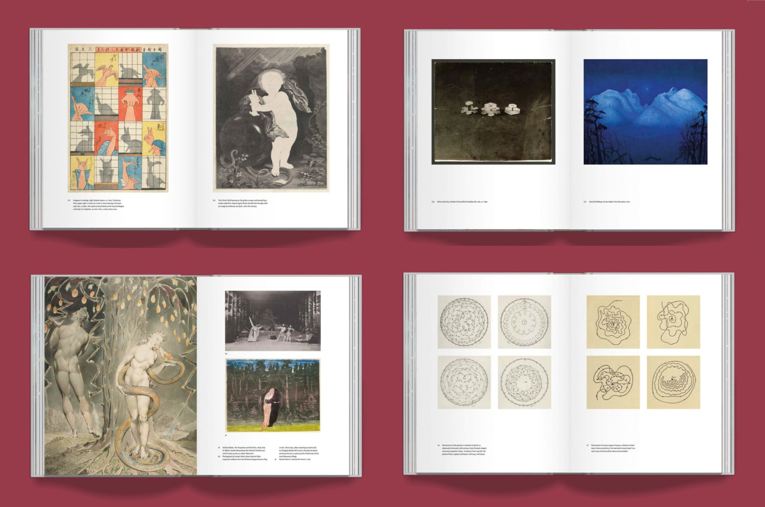 A Deeper Dive into *Affinities*, Our New Book of Images