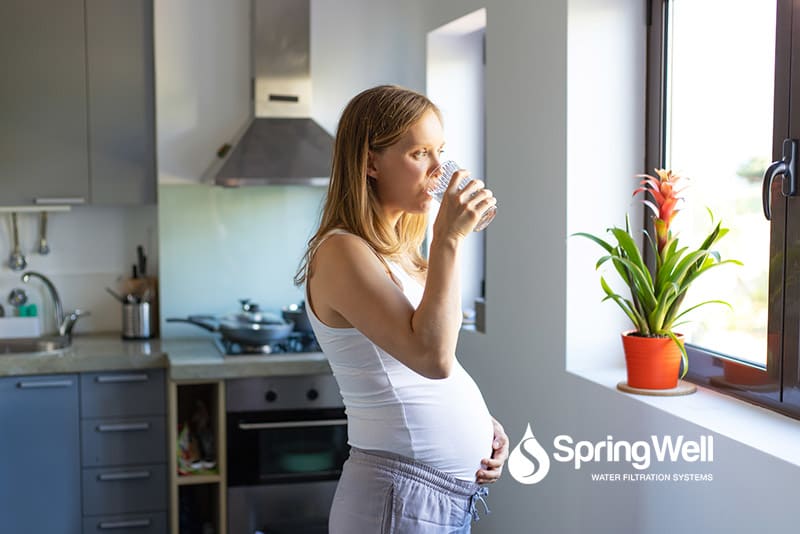 The Dangers of Drinking Contaminated Water During Pregnancy - SpringWell Water Filtration Systems