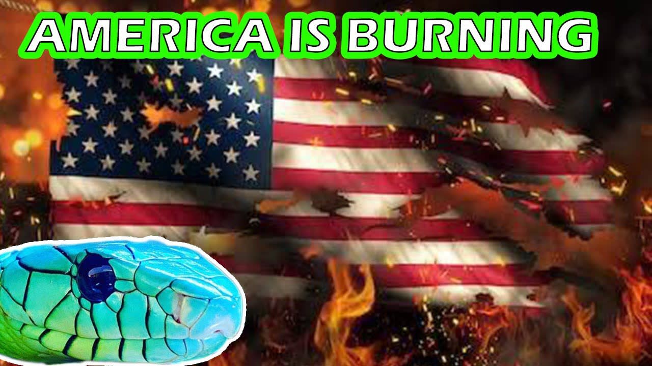 AMERICA ON FIRE and new MAMBAS arrive!!!