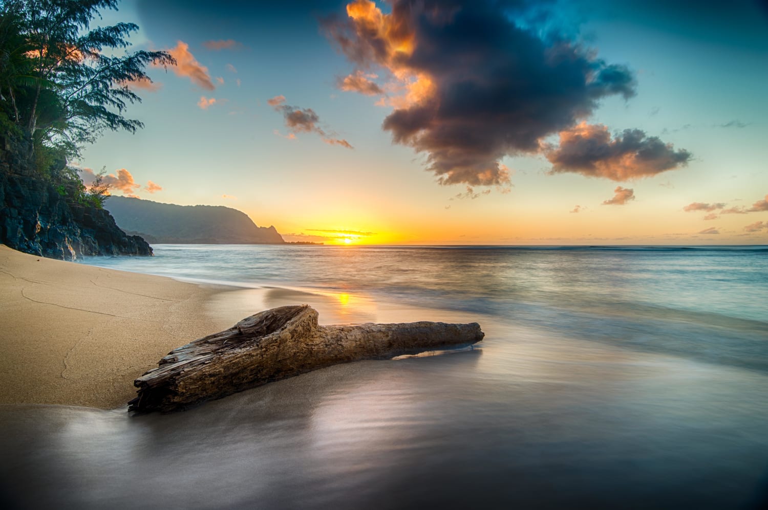 Driftwood on beach at sunset on north shore of Kauai