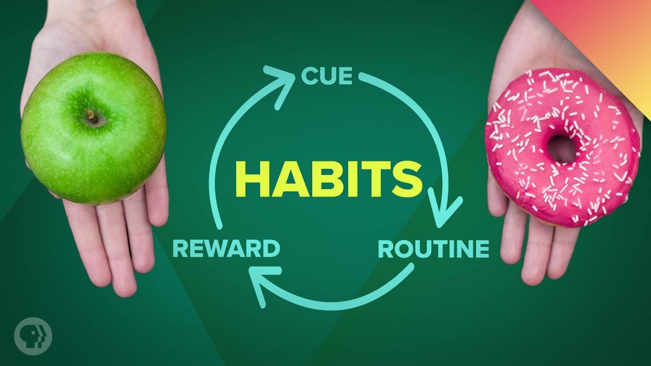 How Habits Change Your Brain [6:32]
