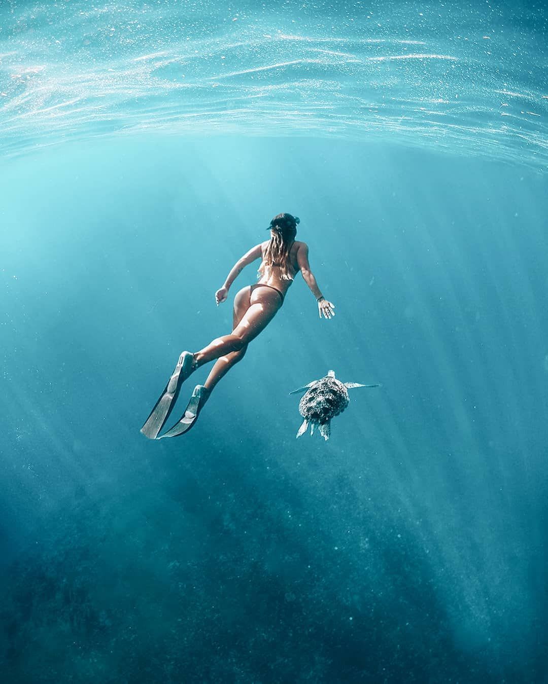 swimming with turtles #indonesia #freedive #underwater #gopro #ocean #sea #blue #bali #love #island | Unterwasserfotos, Unterwasserfotografie, Underwaterworld