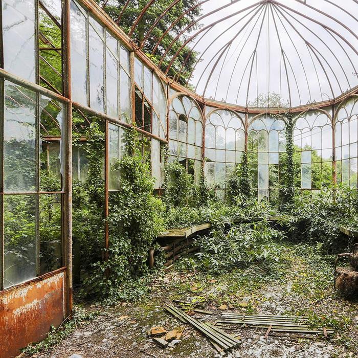 See Nature Reclaim Abandoned Places
