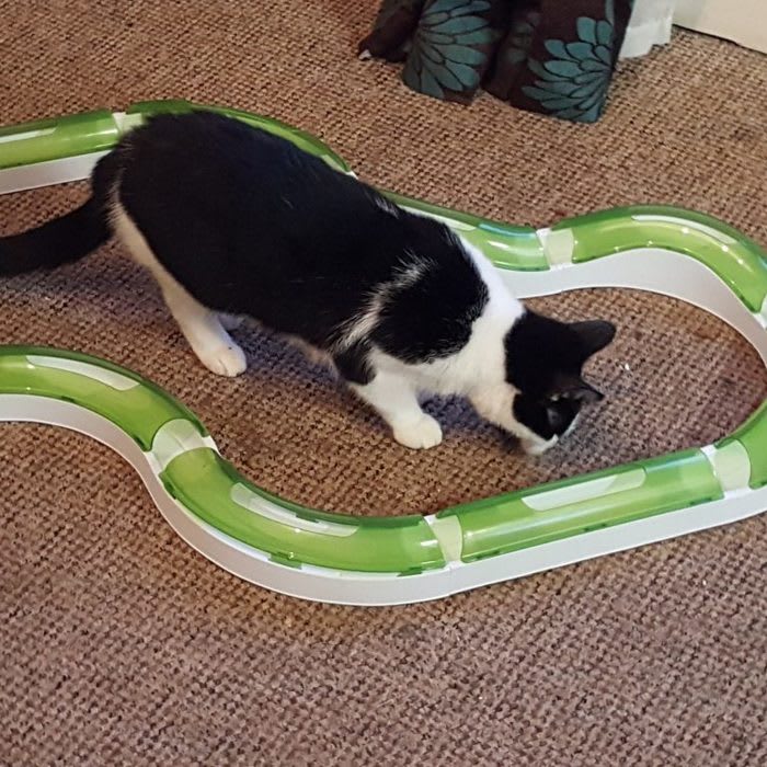 Catit Senses Circuit and Water Fountain - The Best Cat Toy Review Ever