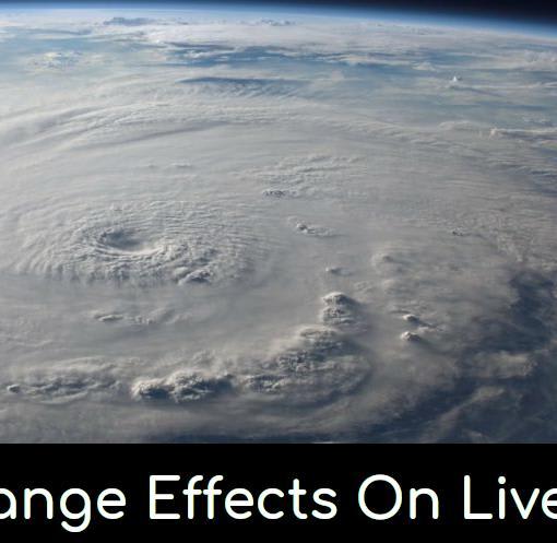 How climate change affect lives on earth?