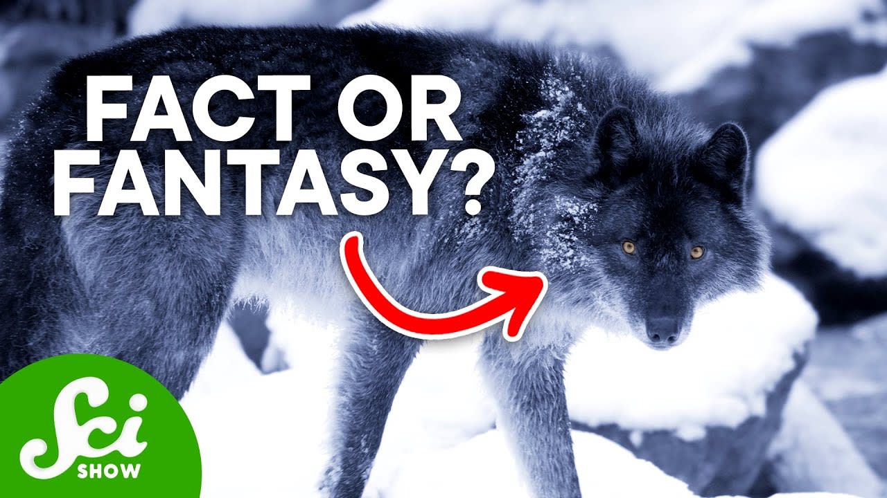 Were Dire Wolves Actually Real?