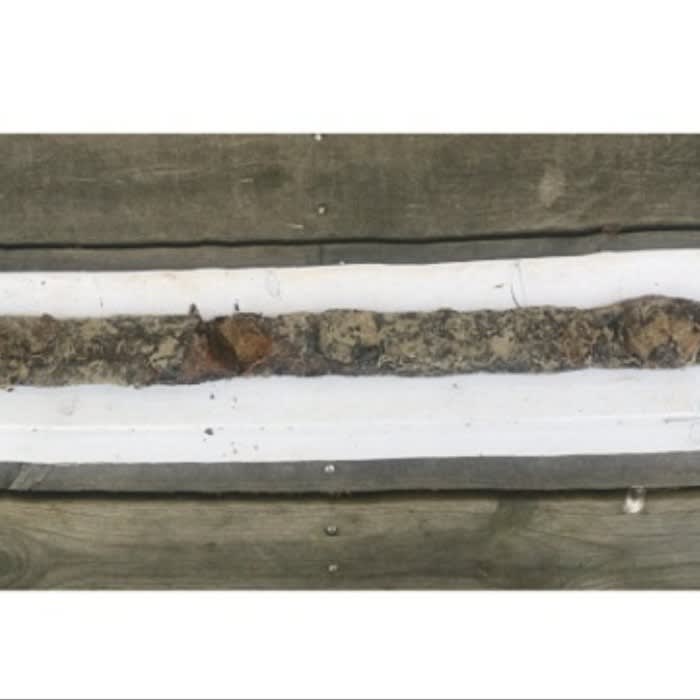 8-Year-Old Girl Pulls Ancient Sword From Lake, Is Our Ruler Now