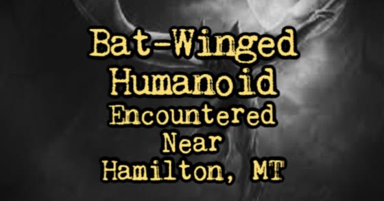 Bat-Winged Humanoid Encountered Near Hamilton, Montana