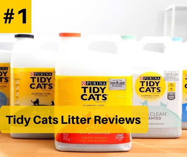 Tidy Cat Litter Reviews in 2020