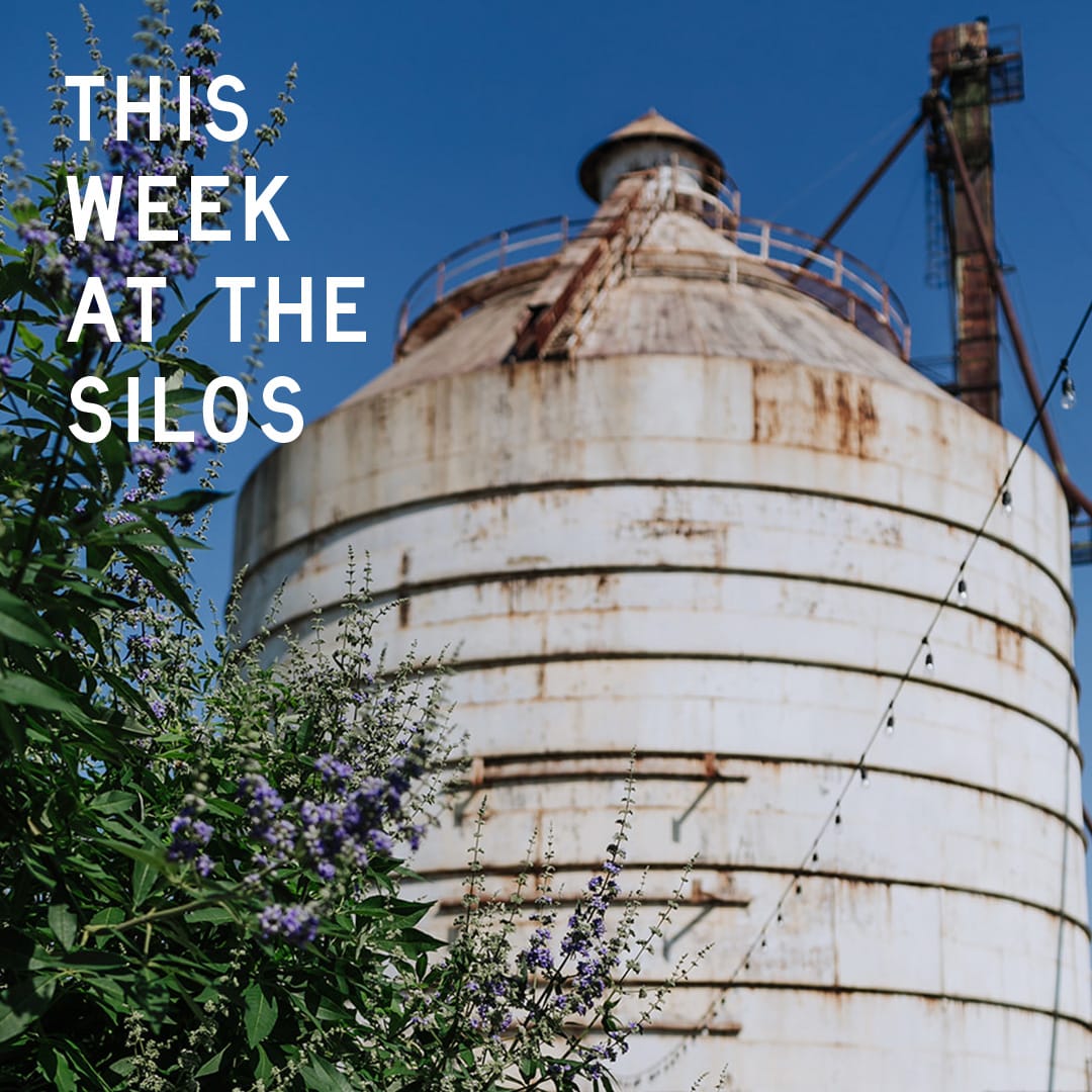 The garden is blooming, tours are happening, and new arrivals just hit Magnolia Market. There’s lots to look forward to this week!