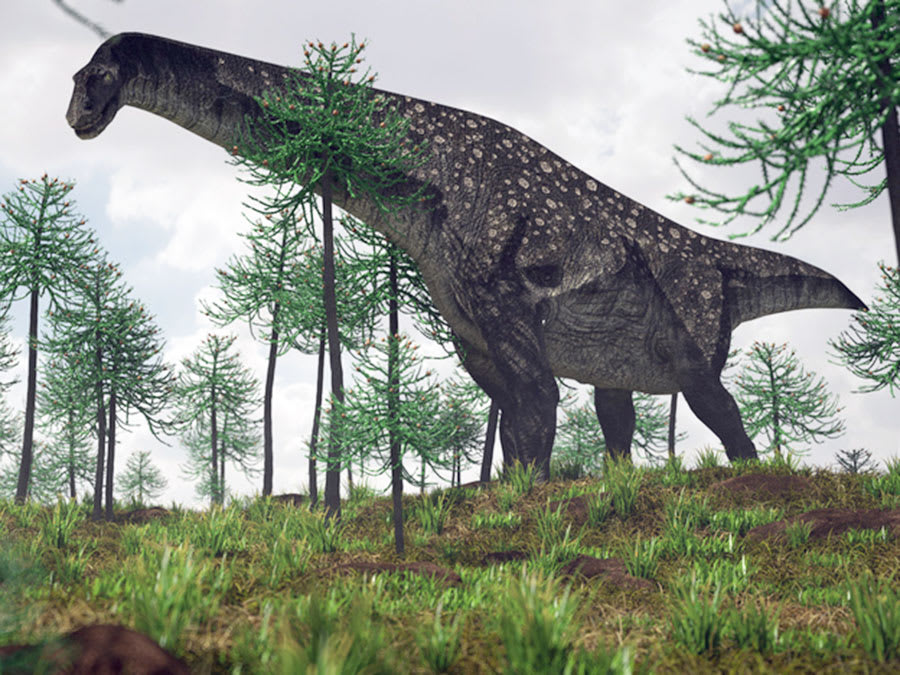 Titanosaurs: 8 of the World's Biggest Dinosaurs