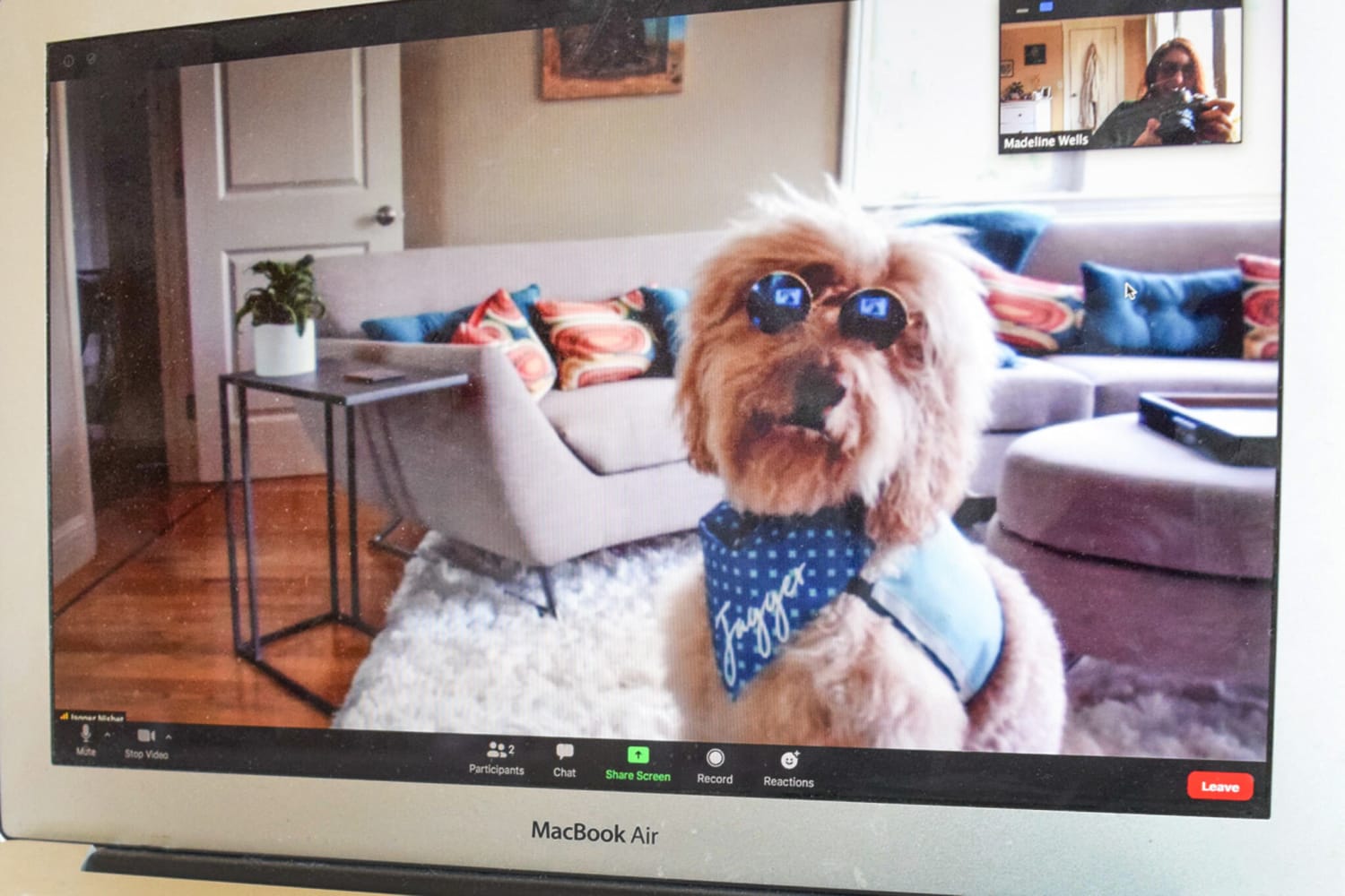 I tried a virtual visit with a therapy dog. It was adorable.