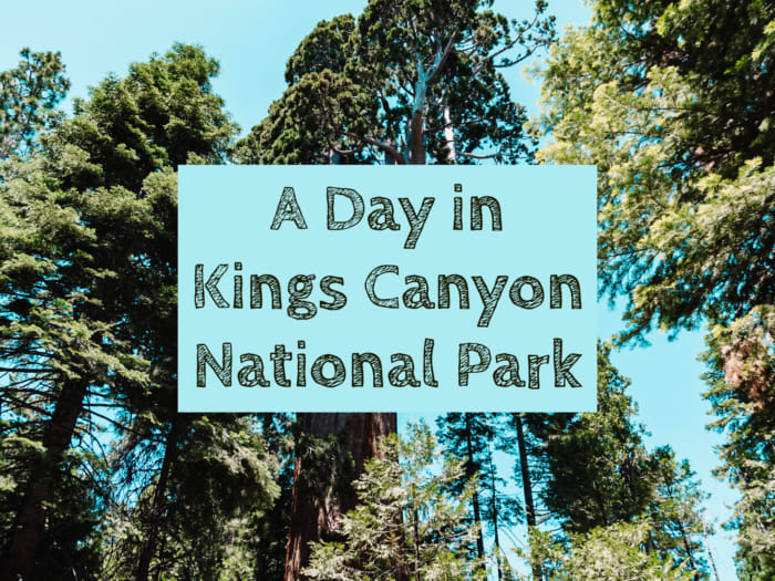A Day in Kings Canyon National Park