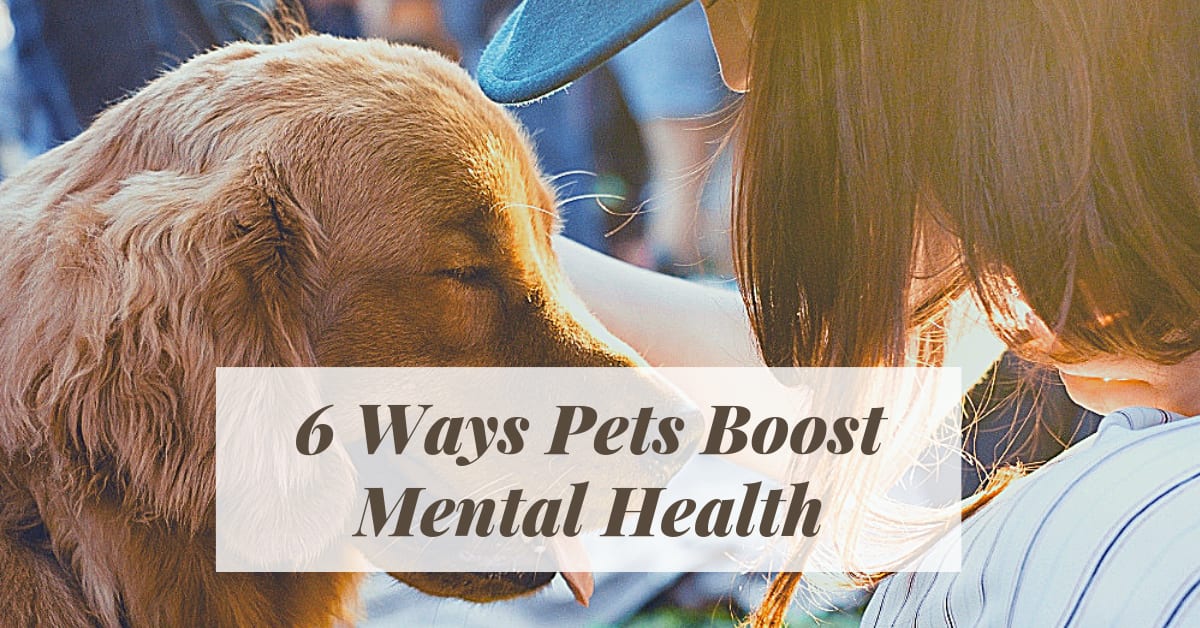 6 Ways Pets Boost Mental Health