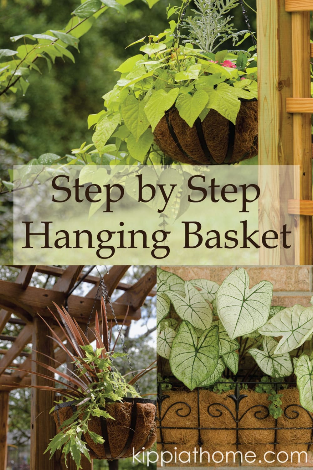 Easy Hanging Planter Baskets, Free Step by Step Hanging Basket Guide
