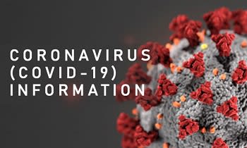 Corona virus information An overview?