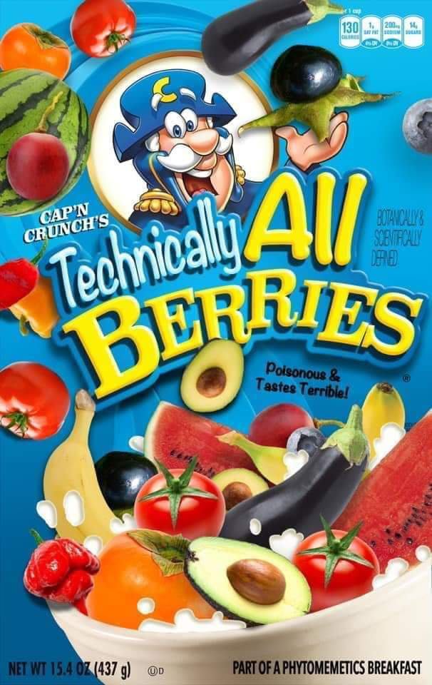 Technically All Berries!