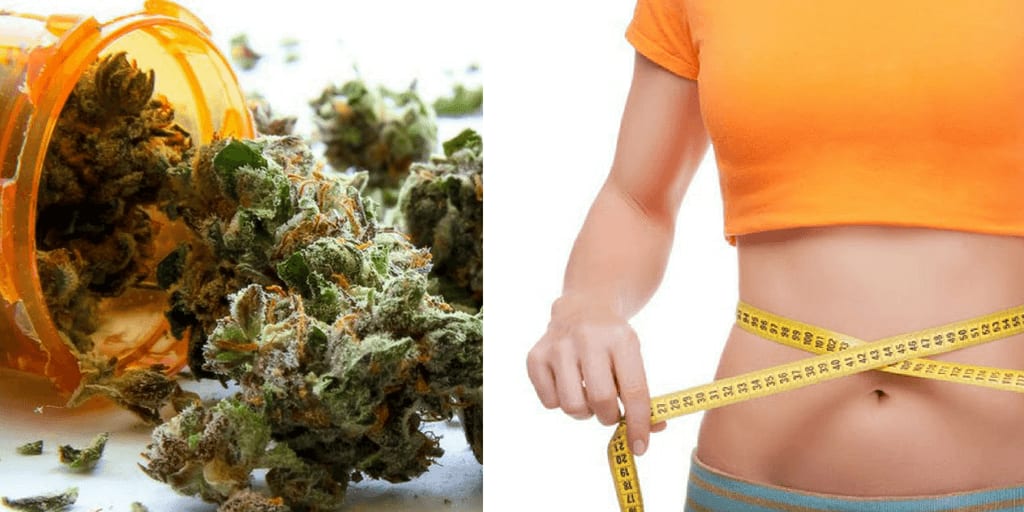 9 Effective Types of Cannabis for Weight Loss - Marijuana