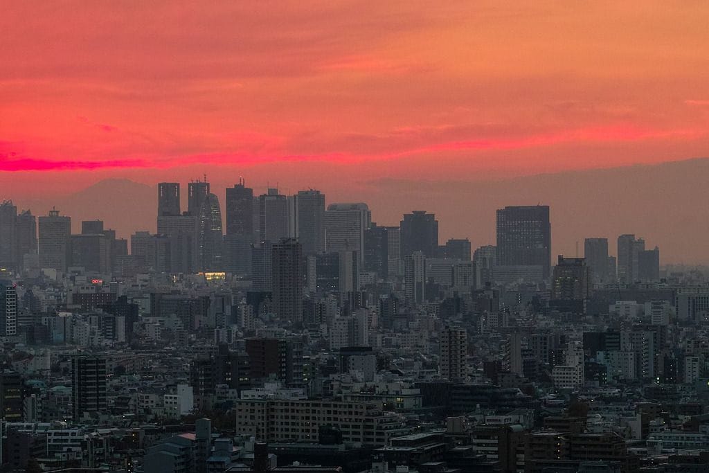 Shinichiro Saka Shinjuku twilight, 2013