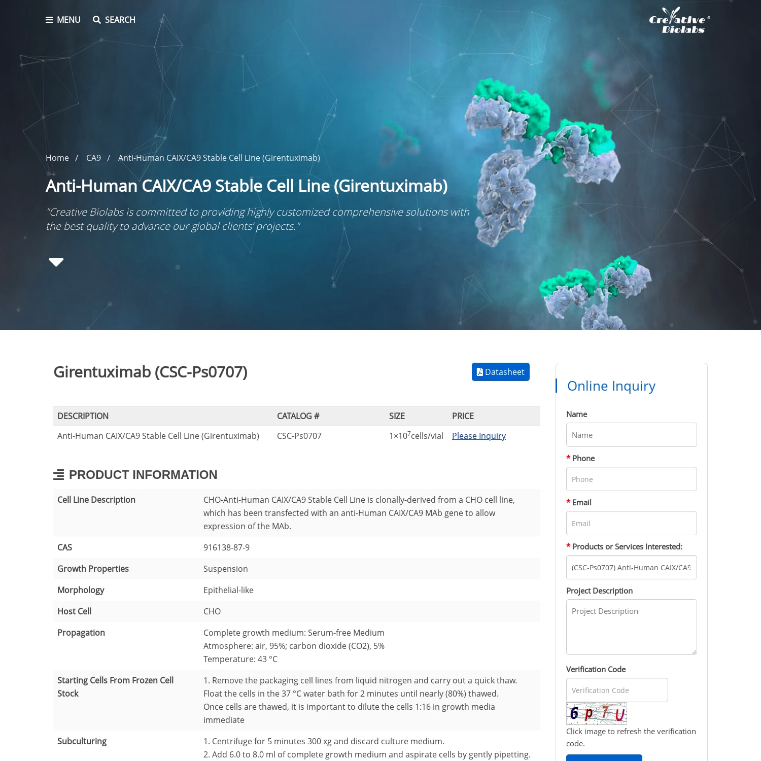 Anti-Human CAIX/CA9 Stable Cell Line (Girentuximab), Girentuximab - Creative Biolabs