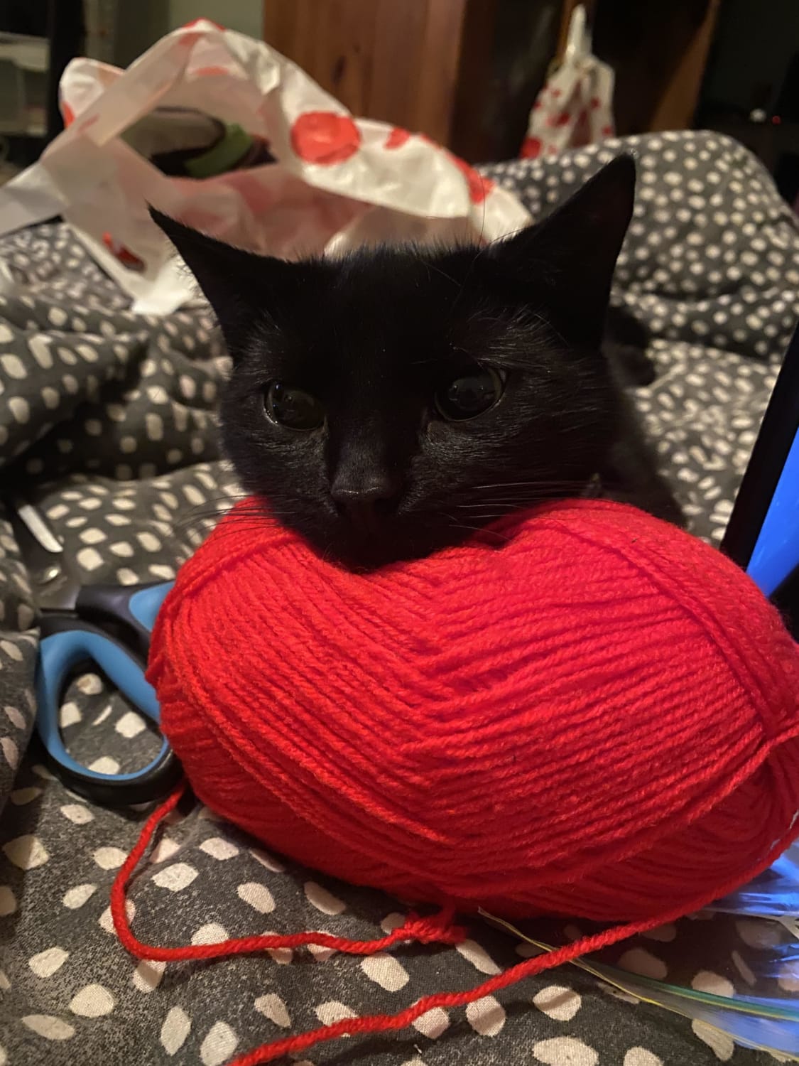 I was crocheting, he was being cute 🥰