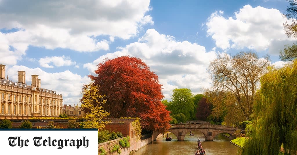 The best things to do in Cambridge, from botanical gardens to boat trips
