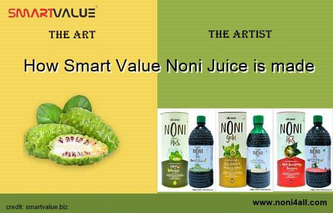 How Smart Value Noni Juice Is Made(awarded By Forbes) 2020