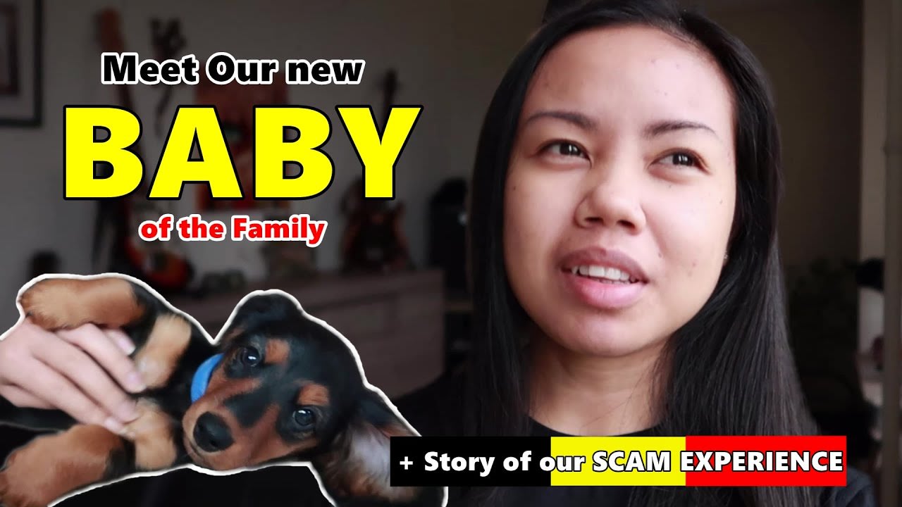 MEET OUR NEW BABY + STORY OF OUR SCAM EXPERIENCE IN BELGIUM - VLOG 47