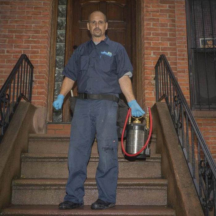 The bed-bug whisperer of Brooklyn