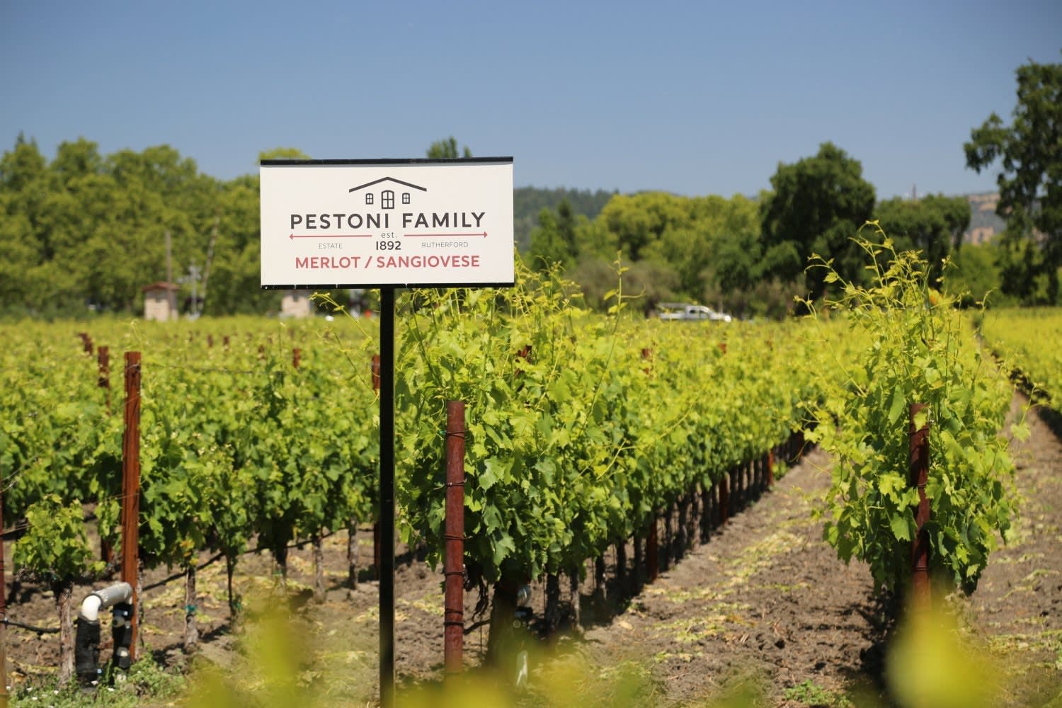 Part 3 of 3: Napa Wineries Reviewed - Pestoni Family Estate Winery