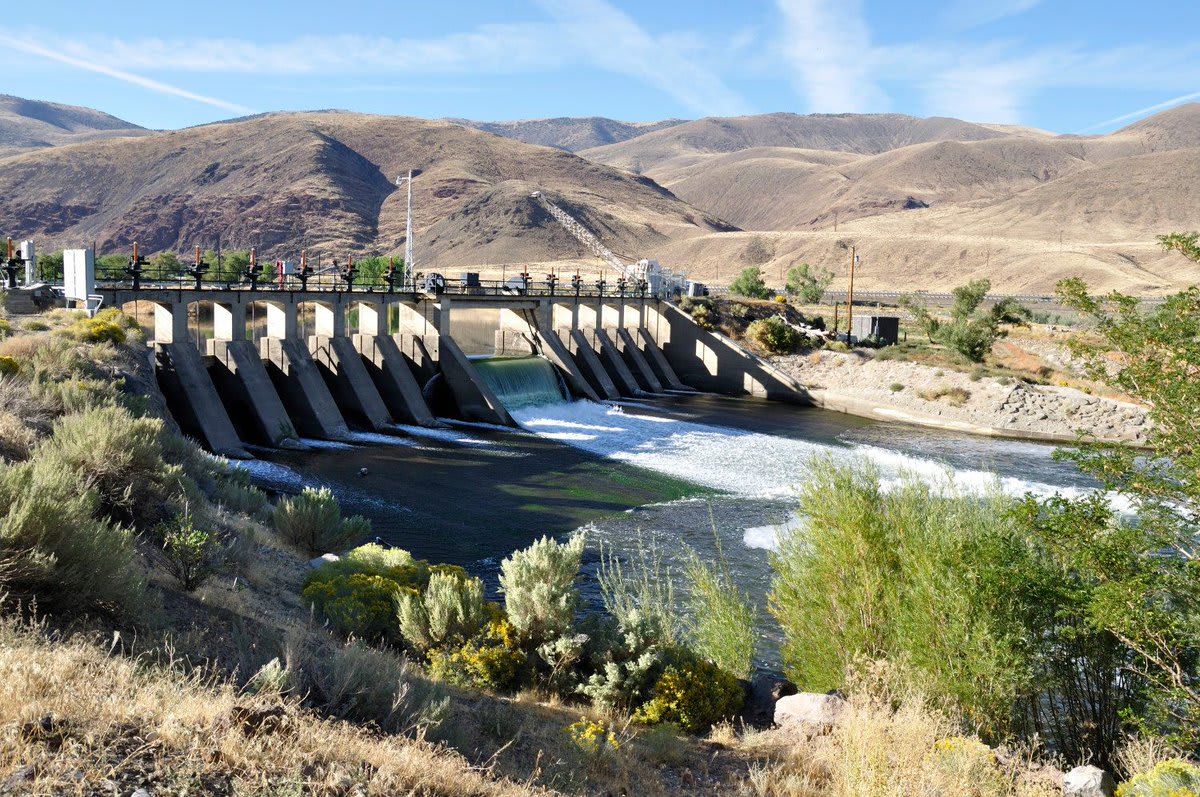 Conservation is a vital part of the @usbr’s water management and power generation in the western United States. Learn more about their collaborative work, which often helps address threatened or endangered species, habitat recovery, and invasive species: