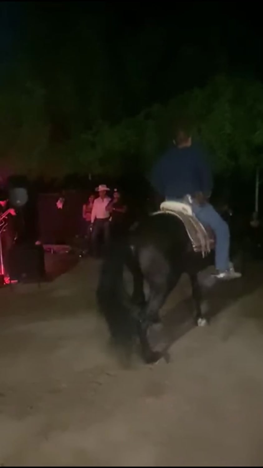 Dancing horse doesn’t like the music