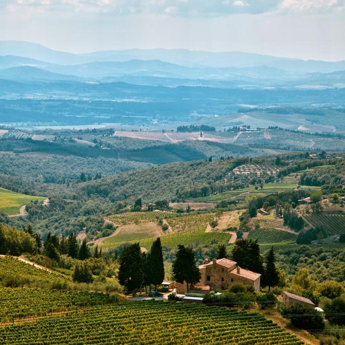 Cin Cin! A Tasty Guide to the Best Italian Wine Regions