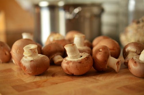 6 Mushrooms That Behave as Turbo-Shots for the Immune System