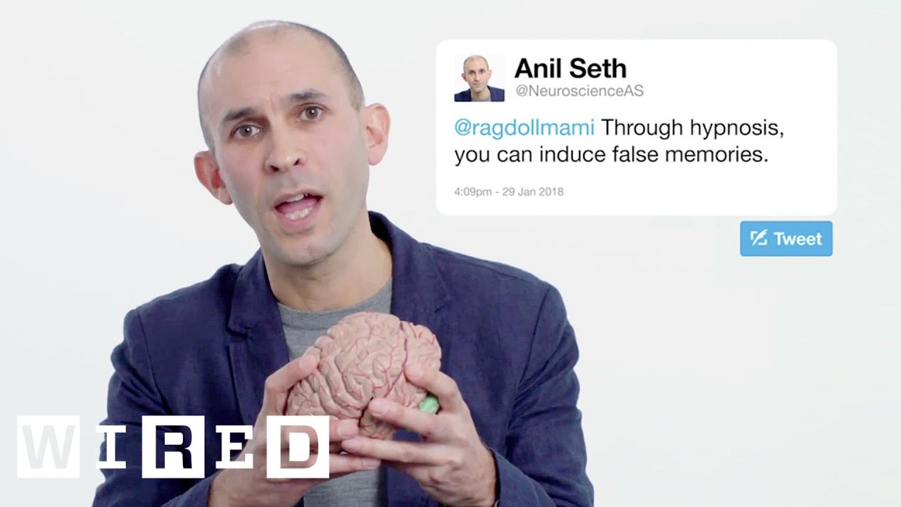 Neuroscientist Anil Seth Answers Neuroscience Questions From Twitter | Tech Support | WIRED