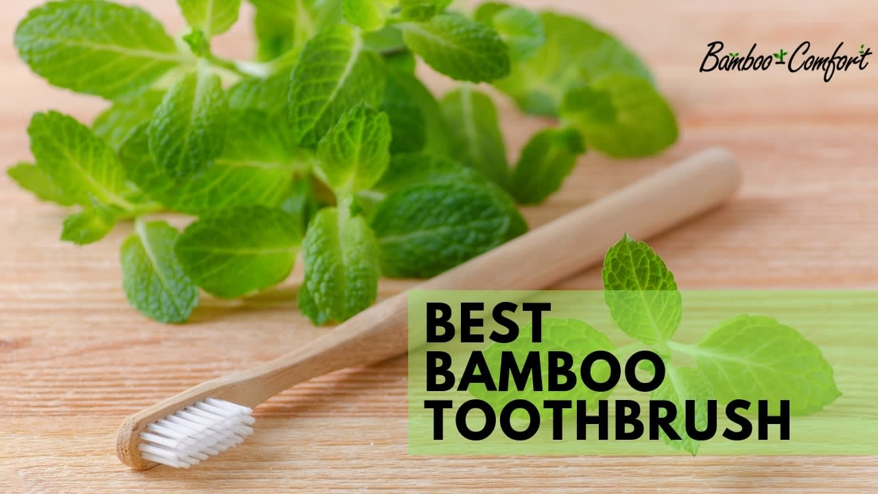 The 12 Best Bamboo Toothbrushes for 2020 - Reviews & Buyer's Guide